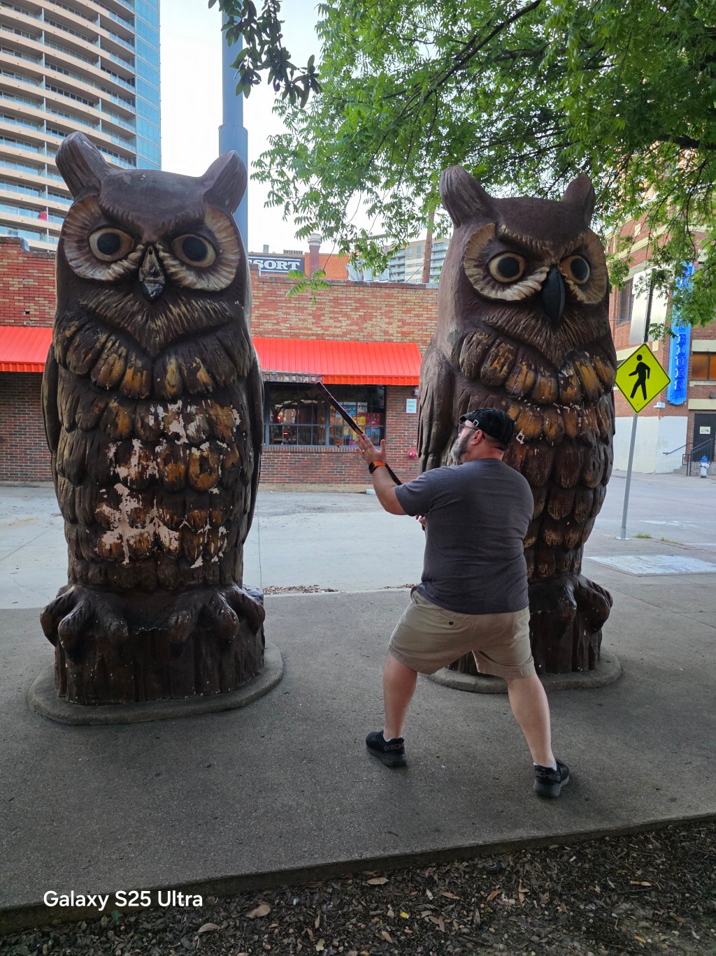 Dueling Hooters (a poem)