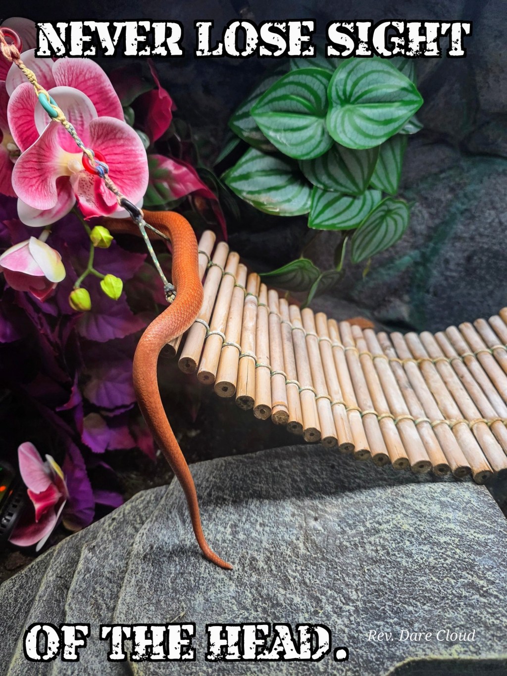 They’re distracting you…