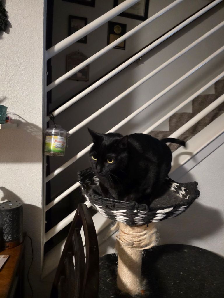 20251115_0605324060598615198189149