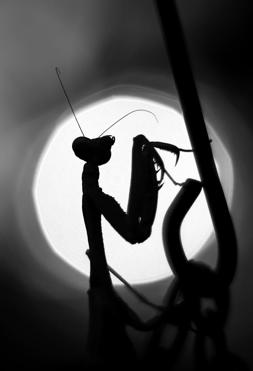 I write the kind of stuff that AI image generators won’t interpret into a photo. You’re&nbsp;welcome.