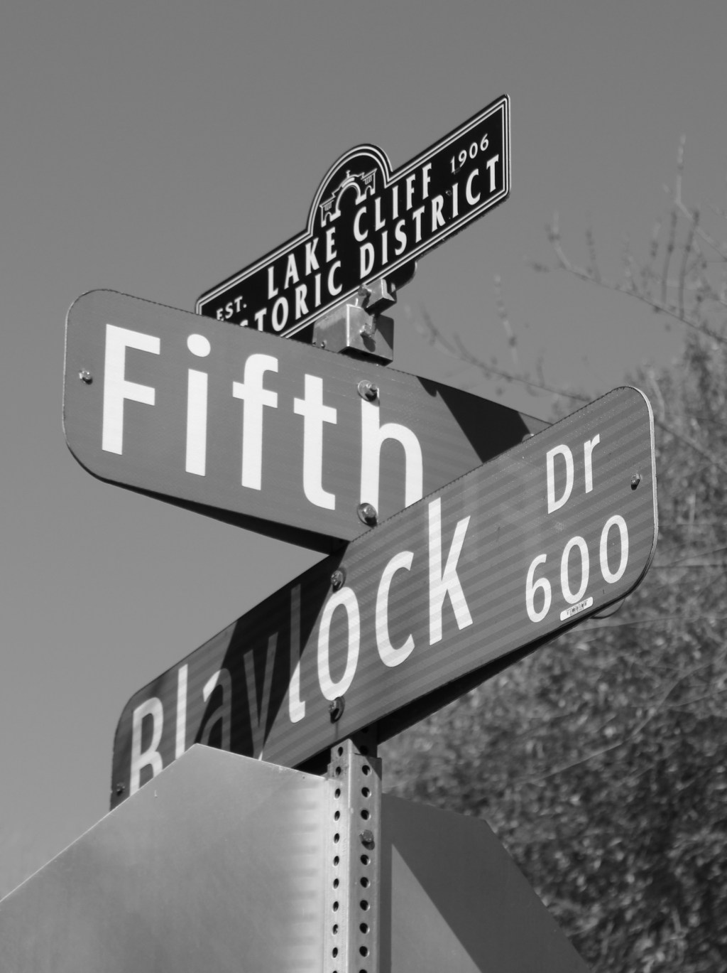 Lake Cliff Photo Walk