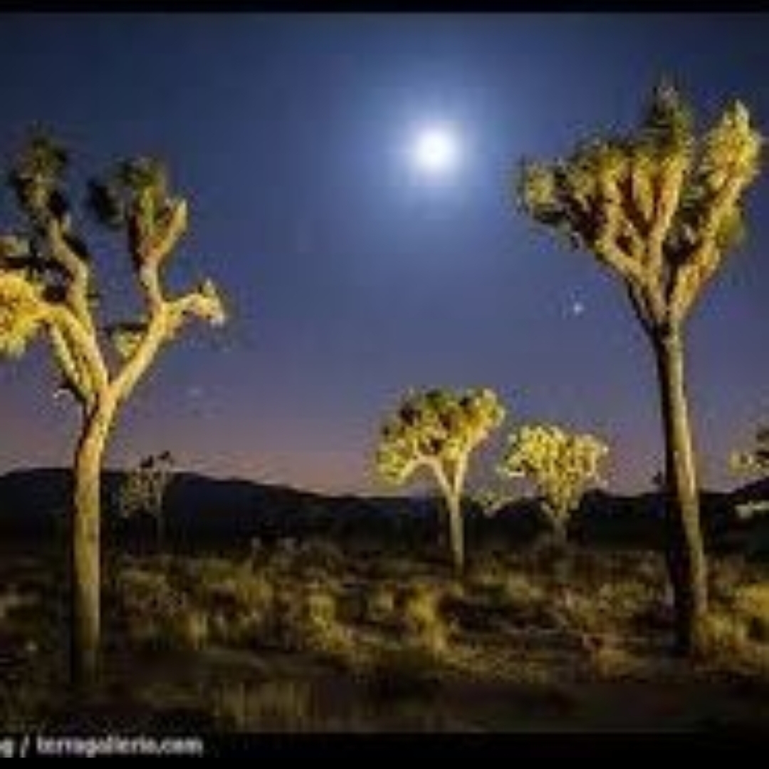 Repost: Anomalous Shooting Star Displays linked to Consciousness: The Findings of this Investigation Potentially Change the Entire Paradigm for UAP Investigations.